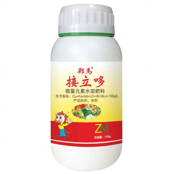 郑马接立哆