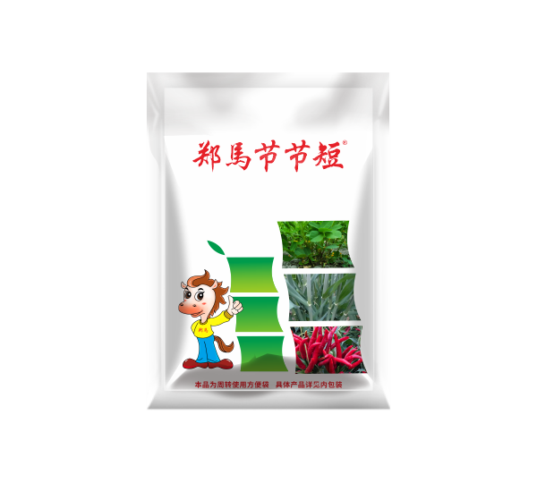 郑马节节短